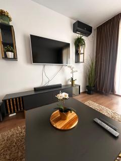 Honeymoon Garden Residence Airport Therme Otopeni Apartment - 4