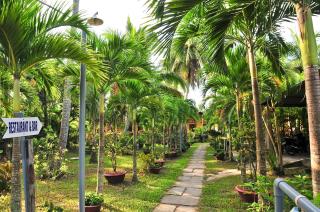Sea Star Resort - Phu Quoc - 6
