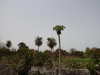 Nuha's Homestay - Short & Long-Term Rentals - 7