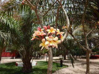 Nuha's Homestay - Short & Long-Term Rentals - 4