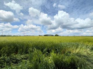 Normandy country house - 30 min from Honfleur - 5