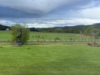 Daviot Lodge - 5