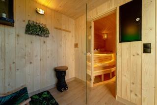 Willa Lux Wolf JACUZZI&SAUNA&GROTA SOLNA - 1