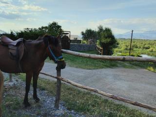 Glamping Kulmi - 6