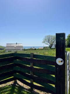 Ballinglanna Beach House - Sauna & Ice Bath - 3
