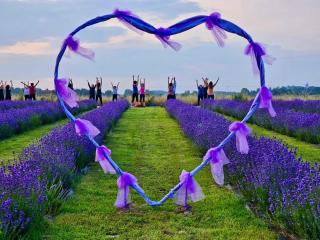 Chicche di Lavanda - 9