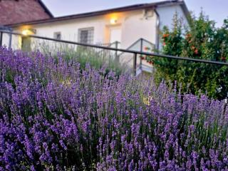 Chicche di Lavanda - 6