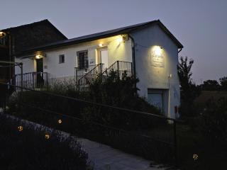 Chicche di Lavanda - 5