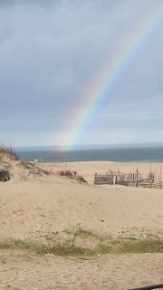 lazy beach - 8