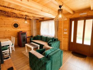 Zagrad Homes in Zabljak - 5