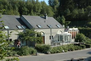Ecureuil - Durbuy - 0