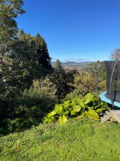 Mountain View - 9