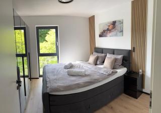 Design Villa mit privatem Whirlpool im Urdonautal - 9