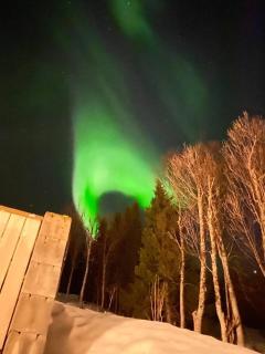 Tromsdalen with a view - 3