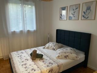 Charming and Quiet house with garden near Paris - 6