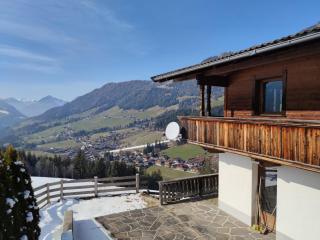 Chalet Mountain View - 4