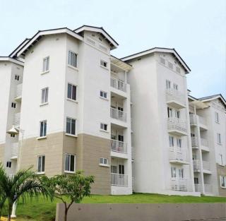 Playa Dorada Suites - 7