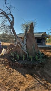 Orpheus Camping & Glamping - 9