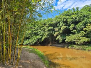 Refugio del Arroyo - 1
