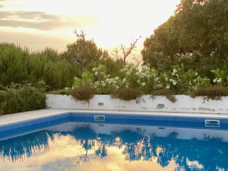 Branca Countryside Retreat - 1