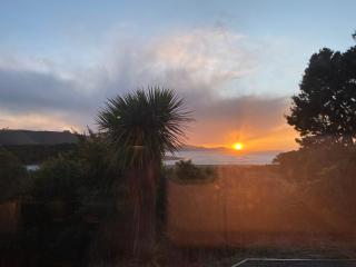 Last Paradise Papatowai - 8