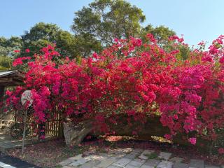 Fong Chou Chalet - 7
