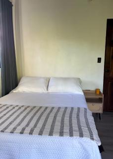 Caladium House - Entire Home or Private Room - 9