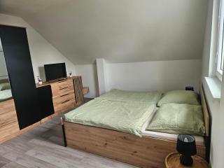 Vila Jesenice - 1