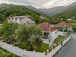 House Olive Tree - 9