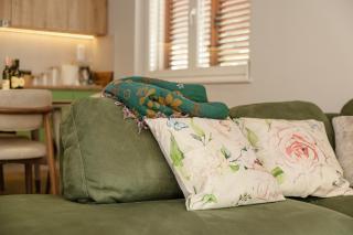 House Olive Tree - 4