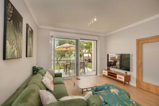 House Olive Tree - 5