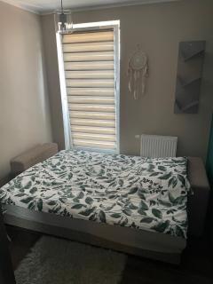 Apartament pod dębami - 5