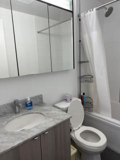 Penthouse 2BR plus Den with Skyline Views SQ1 Parking - 3