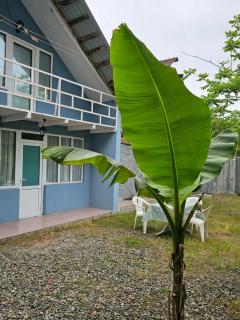 Smart Stay Shekvetili - Near the Sea - 2