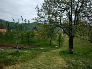 Diva House - 7