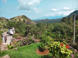 Suryaa Farm House - 8