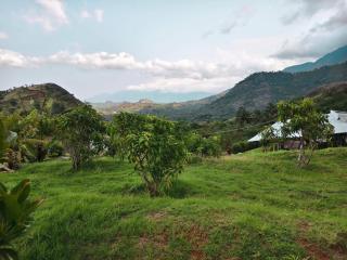 Suryaa Farm House - 9