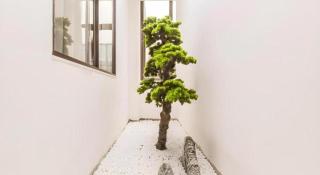 City Comfort Inn Chongqing Pengshui Yujing Jiangshan - 7