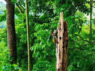 Forever Life Ambuluwawa - 2