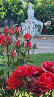 La casa dell'artista - 8