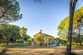 Winemaker's Home By Pézenas Vineyards - 4