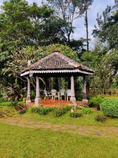 Thippanahalli Homestay, Chikkamagalur - 5