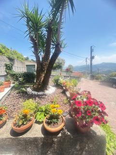 Casa das hortensias - 5
