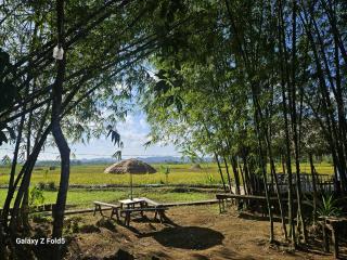 yugo place - 6