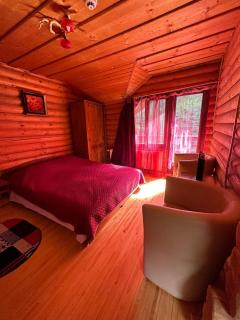 Cabana Bradul - 1