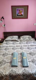 Стаи за гости ОРЕХА Троян Private rooms Oreha - 8