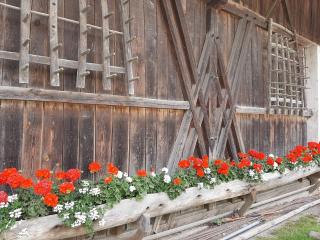 Leierhof Brimella - 3