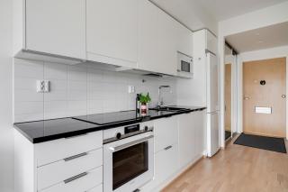 Scandinavian modern central studio - 0