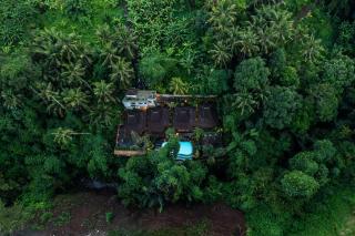 Parvati Retreat Villas - Ubud - 2
