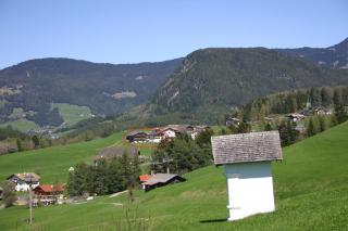 Hilpoldhof - Castelrotto - 9